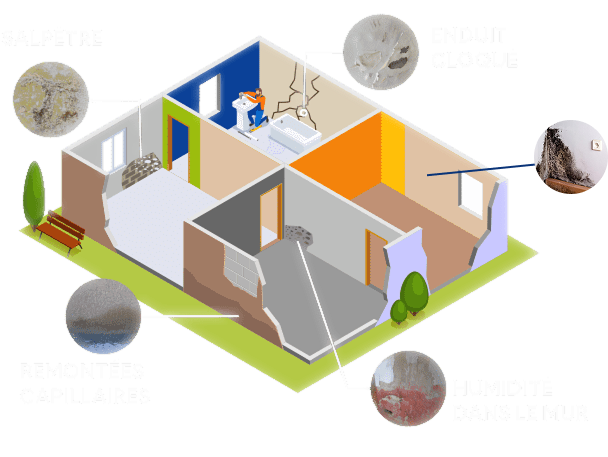 schema-humidistop-expertise
